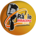 Rádio Piracema 95.1 FM